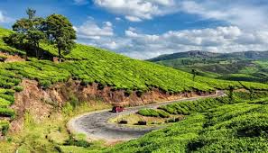 Kerala 6N/7D – Munnar , Alleppey Houseboat , Kovalam Beach